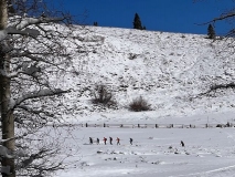 first-snowshoe-2