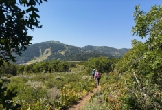 Lost-Prospector-Trail-Hike-7-12-24-5