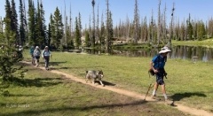 Three-Divide-Lakes-Wolf-Tags-Along-1